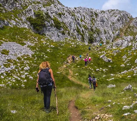 Alpine Hiking Trails