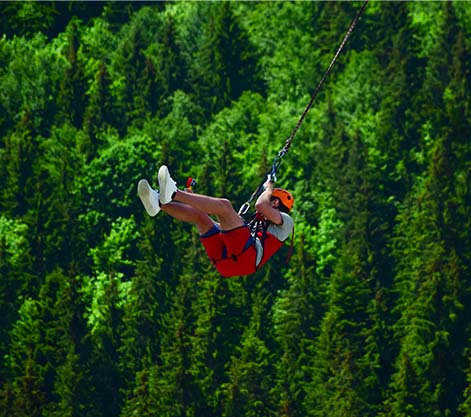 Bungee Jumping