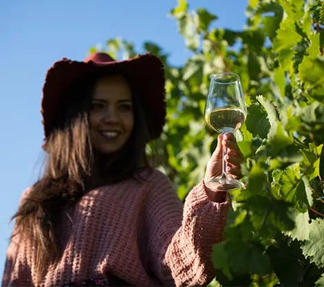 Cape Winelands Exploration