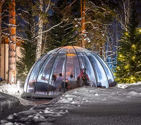 Glass Igloo Nights