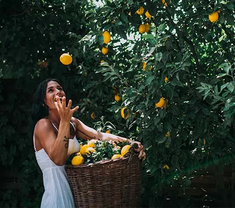 Lemon Grove Experiences