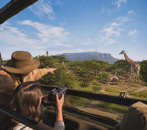 Safari Day Experiences