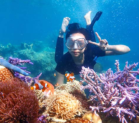 Scuba Diving Experience