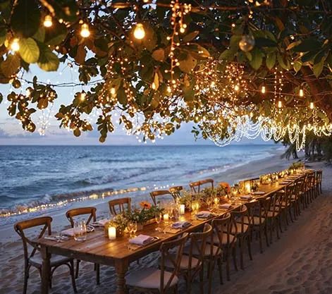 Sunset Seaside Dinners